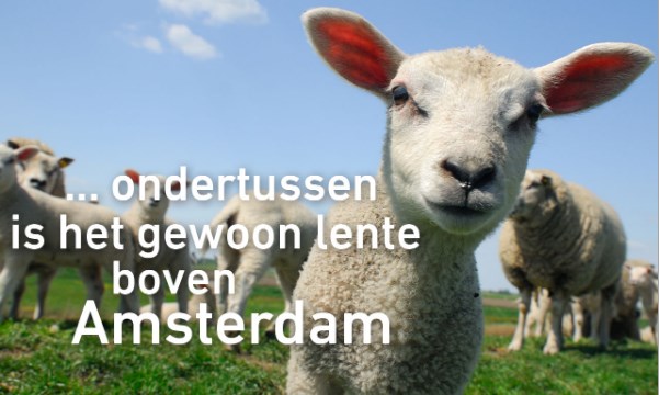 Holland boven amsterdam lenete 
