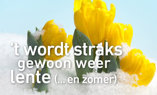 Het wordt straks weer voorjaar