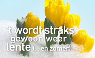 Het wordt straks weer voorjaar