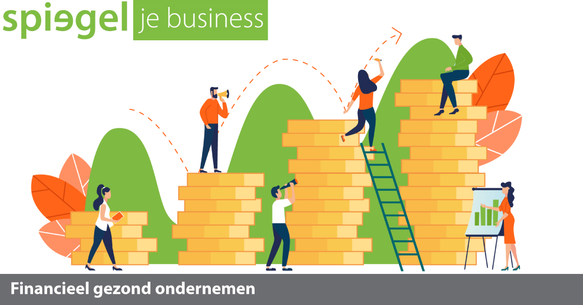 Spiegel je business; Financieel gezond ondernemen