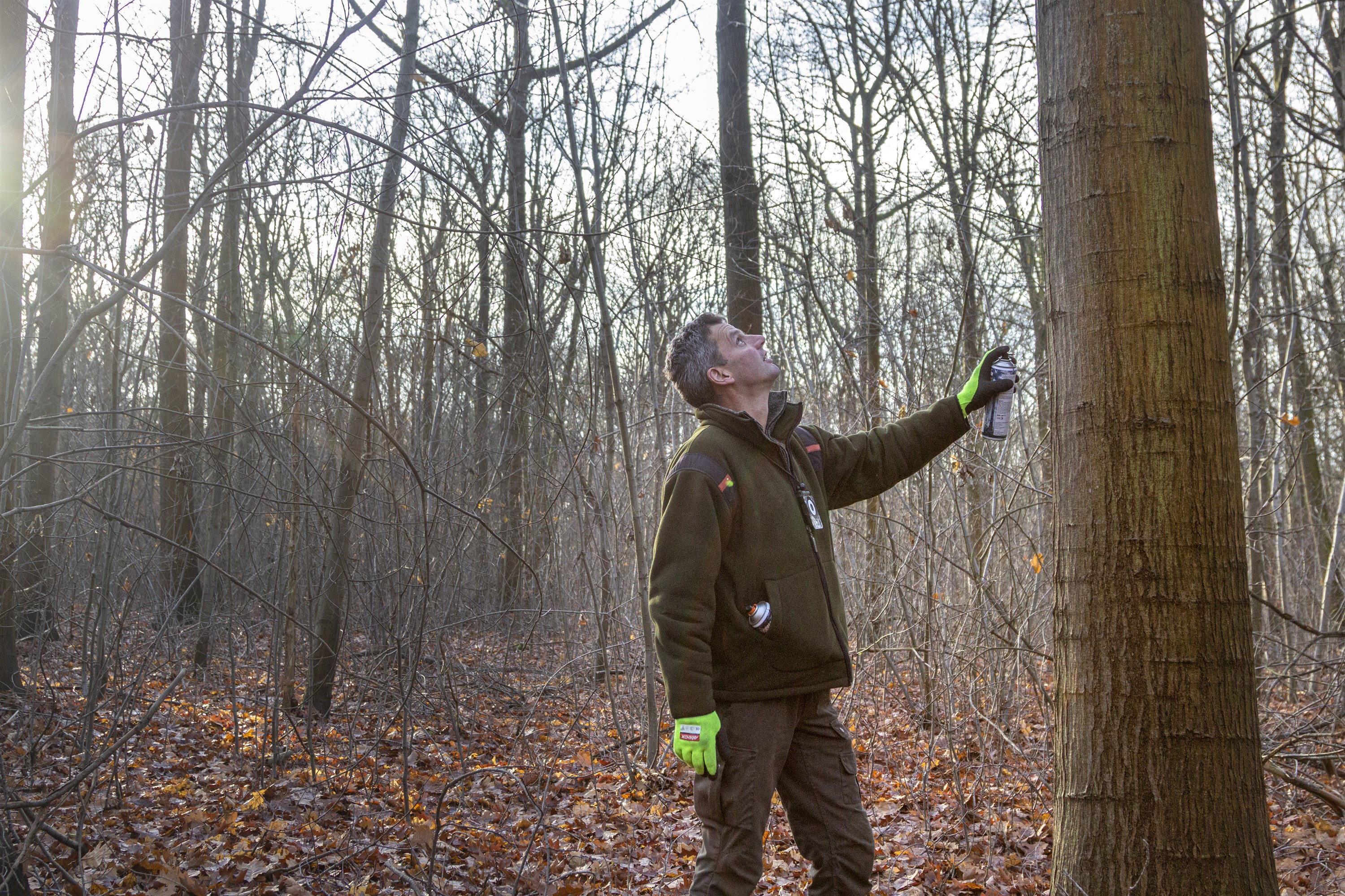 Voorbereidingen boswerkzaamheden Robbenoordbos van start