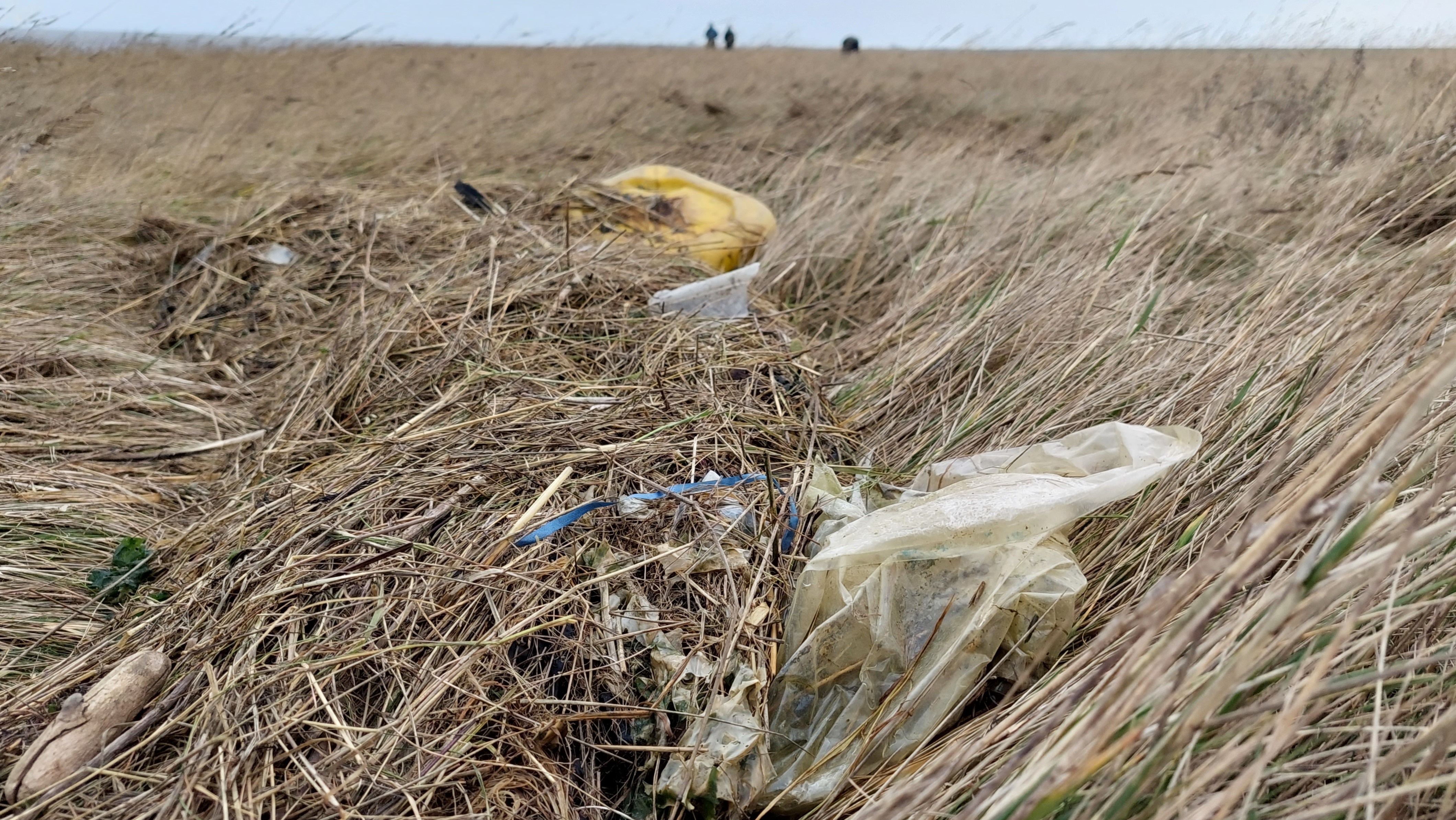 Staatsbosbeheer organiseert opschoondag langs het wad op Wieringen