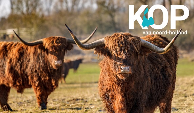 Kop van Noord-Holland