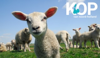 Kop van Noord-Holland - Pasen