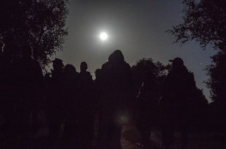 @Marco-van-de-Burgwal---Staatsbosbeheer